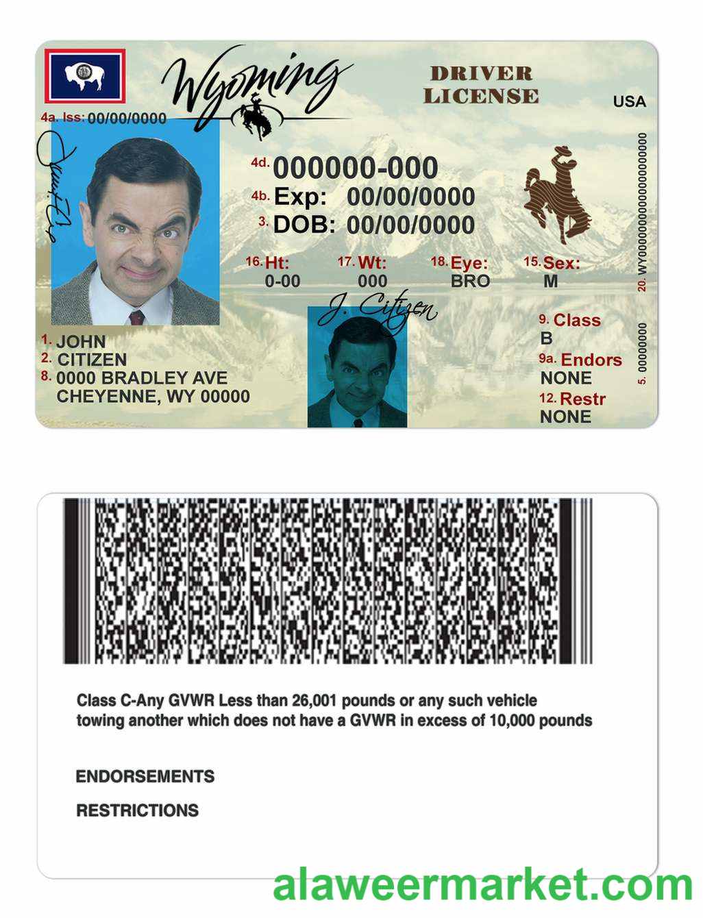 USA Wyoming state driving license
